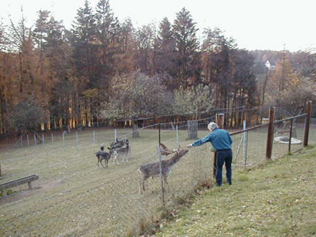 Pension Weber Jennersdorf Esterno foto